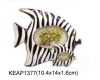 Sell fish photo frame KEAP1377