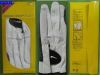 Golf Glove