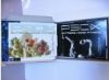 Wholesale P90X Fitness DVD Movie