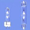 Sell 10000k metal halide bulb
