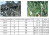 sell Razor type barbed wire mesh