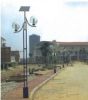 Solar LED Street Lamp