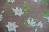 Sell Printed organza fabric