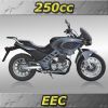 250cc Twin-cylinder, Cruiser (MC250)