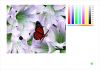 self adhesive vinyl for dye ink