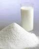 Powder Milk