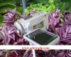 Sell Digital Video Camera, Digital Camera