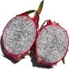 Sell Dragon Fruits from Vietnam