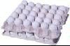 Sell  Egg Tray Machine