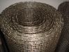 Sell plain steel wire mesh