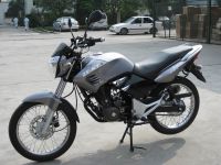 SaudiCommerce.Com ZF150-16(I) Motorcycle-Summit motors