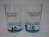 Acrylic Liquid  Short Glass