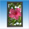 Sell long-distance 42 inch LCD AD Player