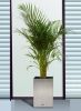 Sell Stainless Steel Flower Pot