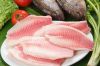 Sell Tilapia