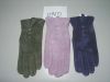 Sell pigsuede glove with elastic and buttons