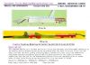 Sell  fruit waxing & grading line