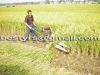 Sell Reed Reaper (Self-Propelled)