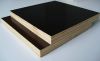Sell FILM FACE PLYWOOD