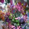 plastic flowers, artifical flowers, plastic producct