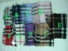 burberry Scarves & Shawls