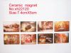 Sell ceramic magnet in high quality