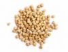 Selling Chick Peas
