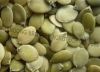 Sell A&AA degree pumpkin kernels