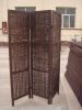 Fencing  (ZLC09-1265)