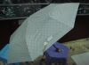 nice looking umbrella, low price, high quality, fashionable, popular
