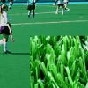 Synthetic Turf