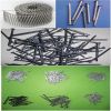 Sell Galvanized Wire Nails