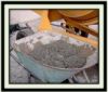 Sell Cement All Types