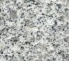 Sell flooring tiles JL-1  G640