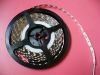Sell LED Strips