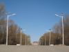 Sell Solar Street Light