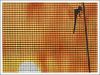 Sell Window Screening
