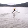 Water Bird