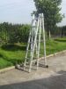 Sell section extension ladder