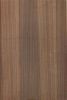 Sell black walnut  plywood