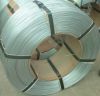 Galvnaized Steel Wire