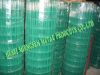 PVC Welded Wire Mesh