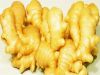 Fresh Ginger