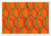Hexagonal Wire Netting