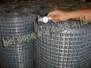 Welded Wire Mesh