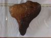 Rare Natural Stone