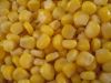 Frozen Sweet Corn Kernels