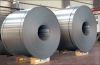 Hot Dipped Galvanized Steel Coil/Sheet