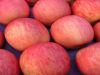 Fresh Apples